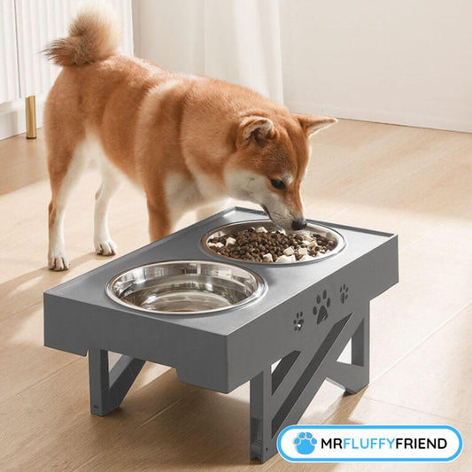 Beste Näpfe für Hunde
