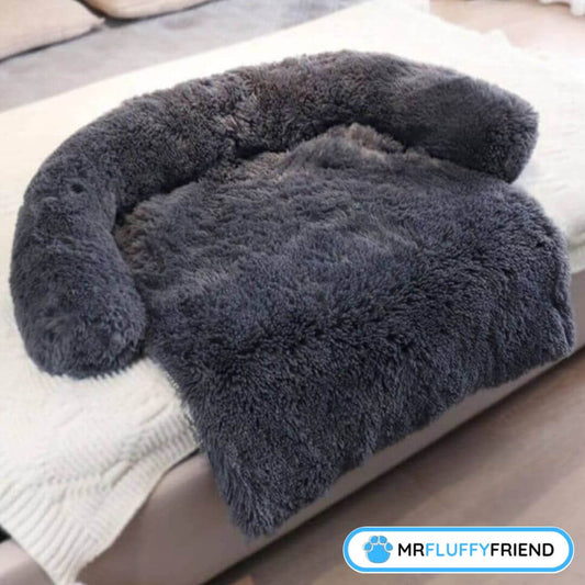 Fellfreies Sofa: So findest du die besten Sofabezüge für Katzen