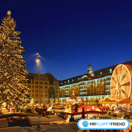 Featured image for blog "Weihnachtsmärkte mit Hund: Was du wissen musst", zeigt einen festlichen Weihnachtsmarkt bei Nacht