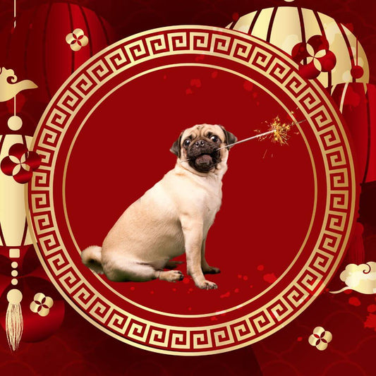 cny-tierfutter