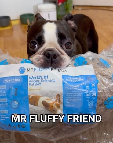 Alexia - 53 - Berlin